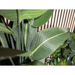EUROPALMS Strelitzia, artificial plant, 110cm